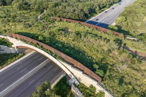 Cầu vượt động vật Tobin: Kỷ niệm 5 năm thành lập 8 Cầu vượt động vật Tobin: Kỷ niệm 5 năm thành lập