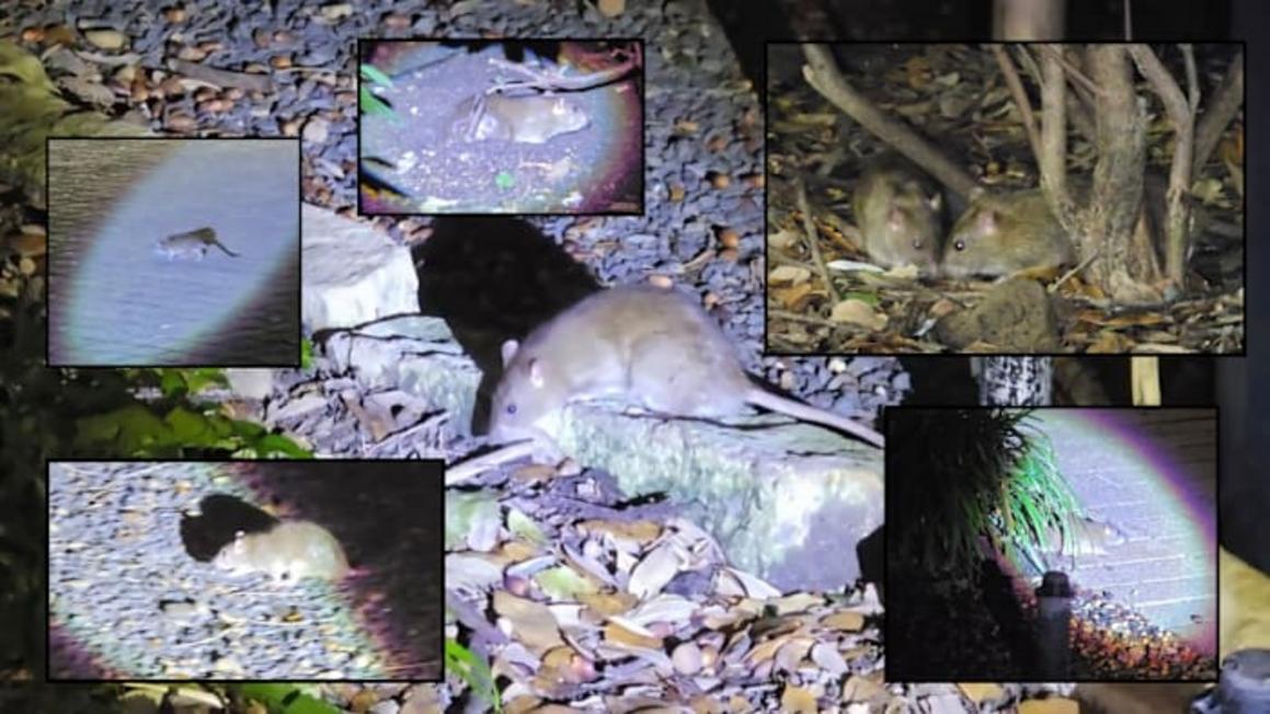 3EB3ACEVMZHHTKC6LEYKUQN6FY