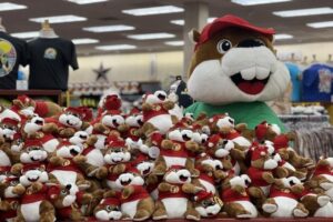 10 Sự Kiện Nổi Bật Năm 2025 Tại Boerne và Fair Oaks Ranch