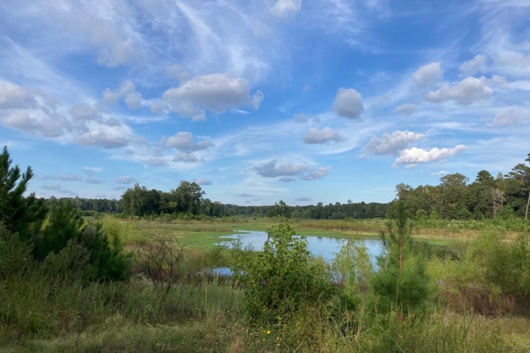 Quan chức tiểu bang và hạt nỗ lực bảo tồn khu đất xanh gần Benders Landing 1 400250