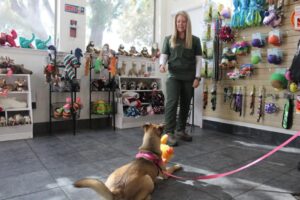 Frisco dự kiến xây dựng cơ sở dịch vụ động vật trị giá 12.8 triệu USD 6 Frisco dự kiến xây dựng cơ sở dịch vụ động vật trị giá 12.8 triệu USD