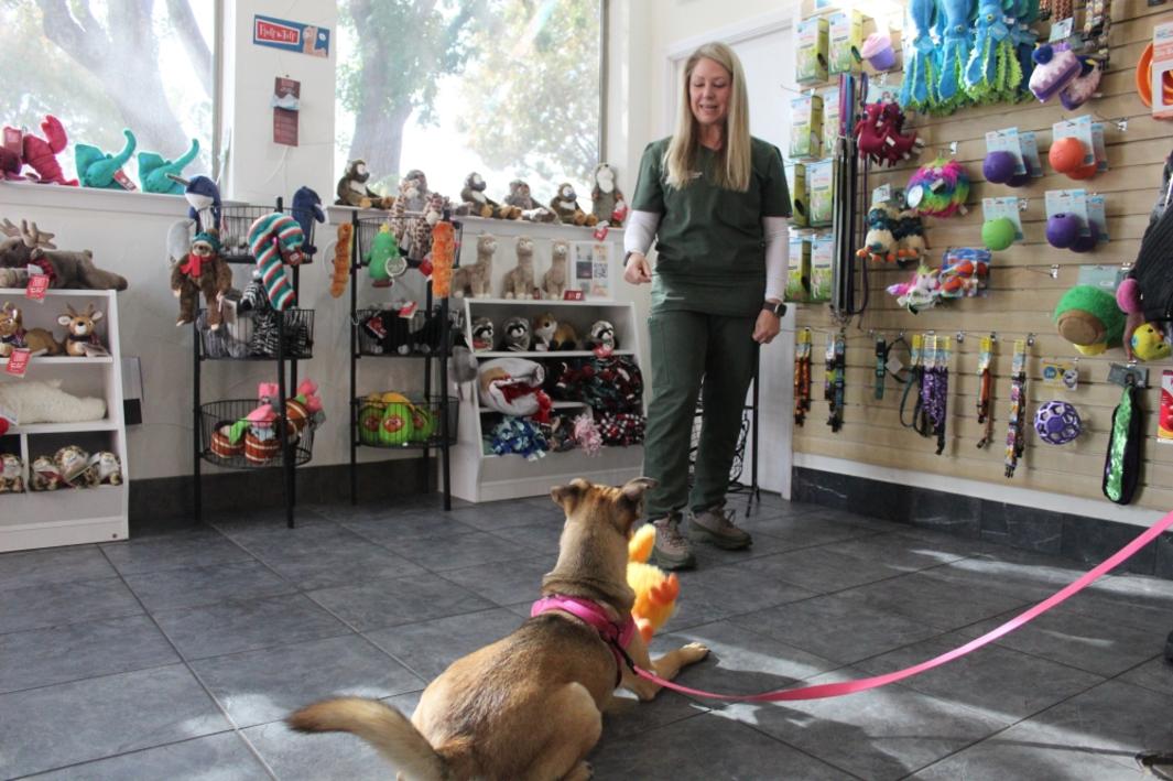 Frisco dự kiến xây dựng cơ sở dịch vụ động vật trị giá 12.8 triệu USD 1 401126