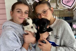 Lễ hội Puerto Rican và Tết Nguyên Đán: 8 sự kiện tại Pearland, Friendswood, Manvel