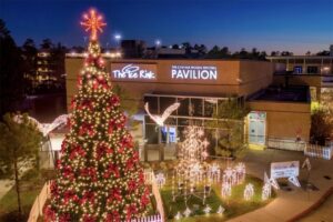 Trượt băng, quyên góp: 5 hoạt động cuối tuần tại The Woodlands (2-4/1) 2 Trượt băng, quyên góp: 5 hoạt động cuối tuần tại The Woodlands (2-4/1)