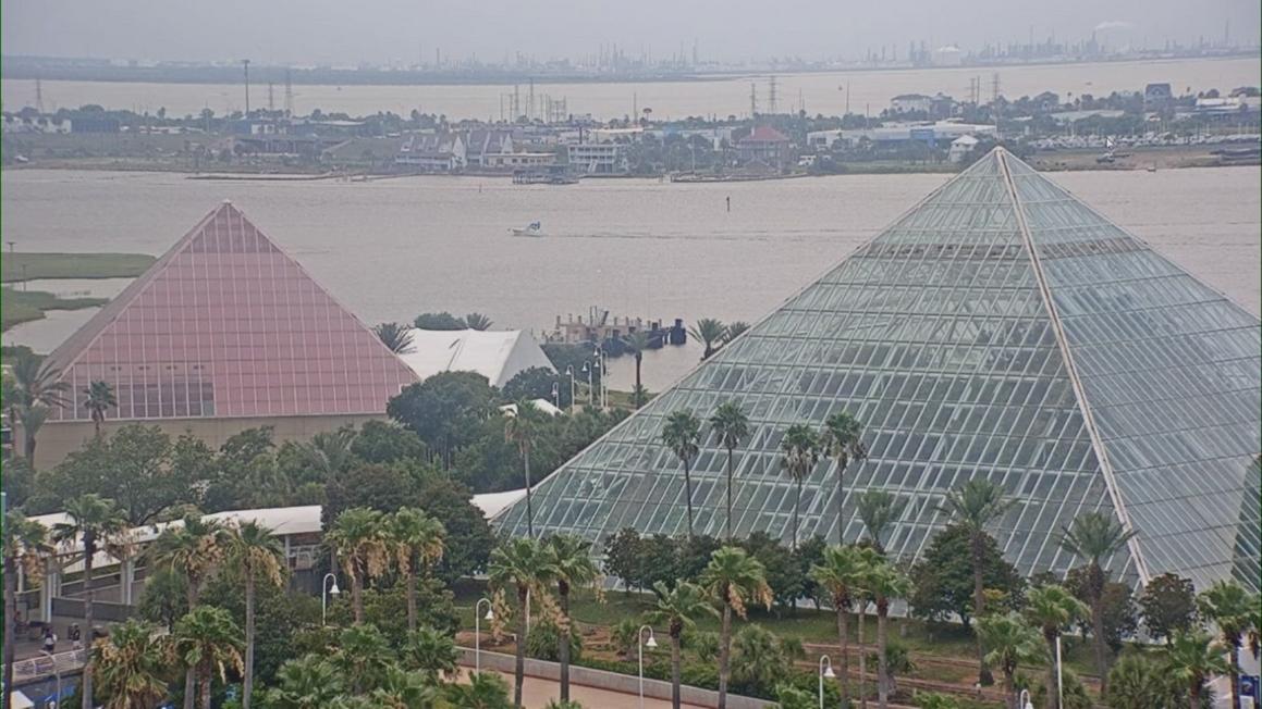 Moody Gardens Áp Dụng Biện Pháp An Toàn Ngăn Ngừa Cúm Gia Cầm 1 50a86ef7 f8ae 4b96 8028