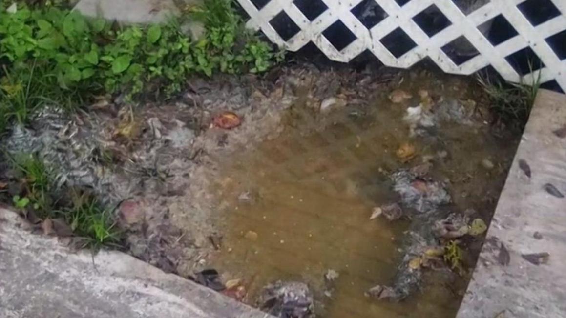 Bà mẹ tại Fifth Ward đối diện nguy cơ bị đuổi vì vấn đề cống rãnh 1 68638bbc bc47 4679 b062