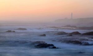 Sương Mù Đã Kiến Tạo Vùng Vịnh San Francisco Như Thế Nào