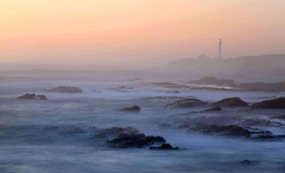 Sương Mù Đã Kiến Tạo Vùng Vịnh San Francisco Như Thế Nào 1 7B5D30F3 2E64 43D0 BAC0 0A7C50F128F0