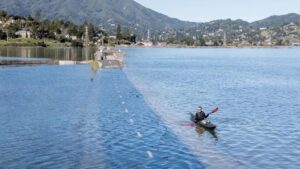 Thủy triều Vua tại Vùng Vịnh hé lộ tương lai khí hậu 14 Thủy triều Vua tại Vùng Vịnh hé lộ tương lai khí hậu