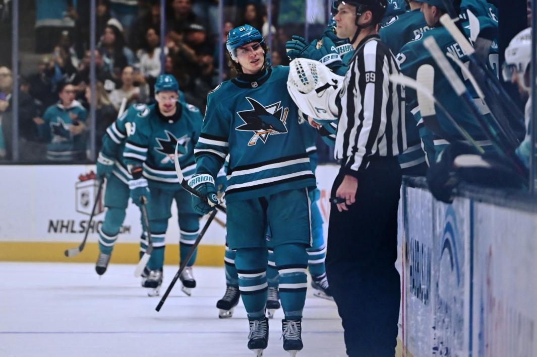 BNG L SHARKS 1221 17