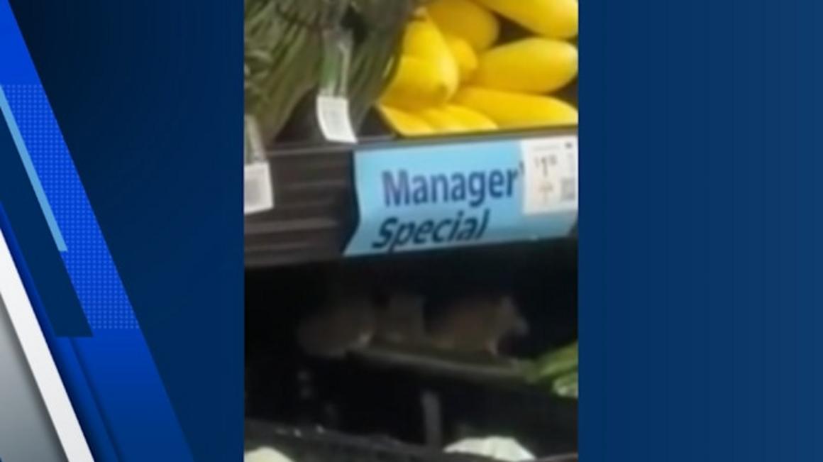 Người xem quay video ghi lại cảnh chuột trên rau củ tại Walmart 1 CASMRW4UNBFJLFY7NBPXP7OMNI