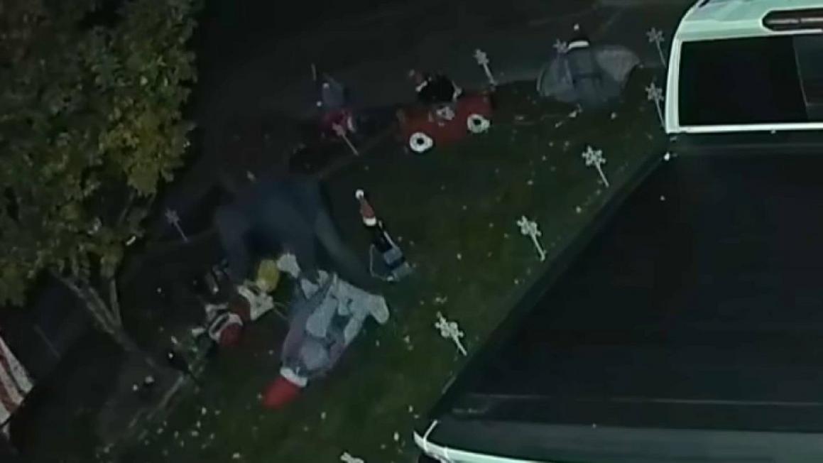 Trộm cắp đồ trang trí Giáng Sinh theo chủ đề Disney tại San Jose 1 Christmas Thief