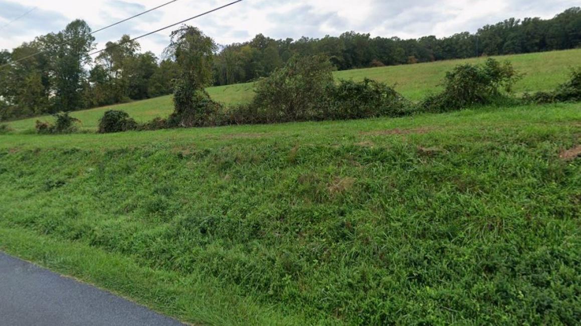 Coyote Attack Warwick Furnace