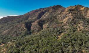 Khoản đóng góp giúp bảo tồn một phần của Mount Diablo 10 Khoản đóng góp giúp bảo tồn một phần của Mount Diablo