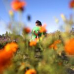 Chia Sẻ Tinh Thần: Gặp Gỡ Tổ Chức Phi Lợi Nhuận Vùng Vịnh Giúp Người Khuyết Tật Phát Triển Cung Cấp Gia Cư 1 Chia Sẻ Tinh Thần: Gặp Gỡ Tổ Chức Phi Lợi Nhuận Vùng Vịnh Giúp Người Khuyết Tật Phát Triển Cung Cấp Gia Cư