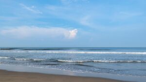 Sự việc liên quan đến cá mập, bãi biển ở Hạt Monterey đóng cửa