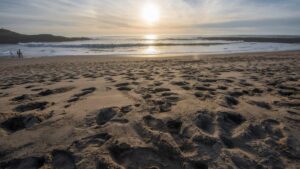 Phát hiện thi thể tại Bãi Biển Bean Hollow, Hạt San Mateo 4 Phát hiện thi thể tại Bãi Biển Bean Hollow, Hạt San Mateo