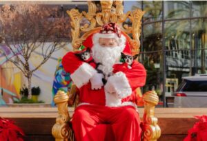 Hội Từ Thiện Silicon Valley Dạy Chó 'Ứng Xử' Mùa Lễ 14 Hội Từ Thiện Silicon Valley Dạy Chó ‘Ứng Xử’ Mùa Lễ