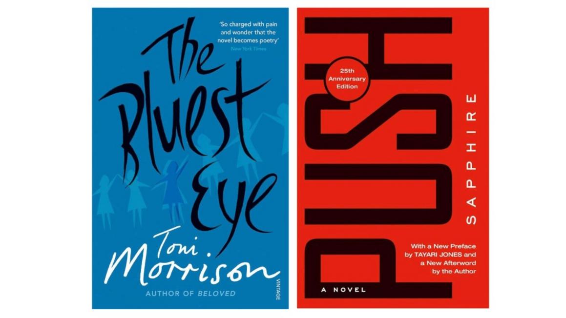 Hai tác phẩm văn học của tác giả da màu có thể bị cấm tại thư viện trường học California 1 RDF L PREVIEW 1208 01 01