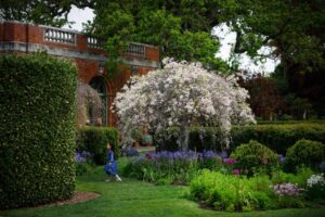 Lịch trình các sự kiện tại Bay Area từ ngày 2 đến 8 tháng 1