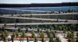 Cư dân Sunnyvale được nhận cây xanh miễn phí 33 Cư dân Sunnyvale được nhận cây xanh miễn phí