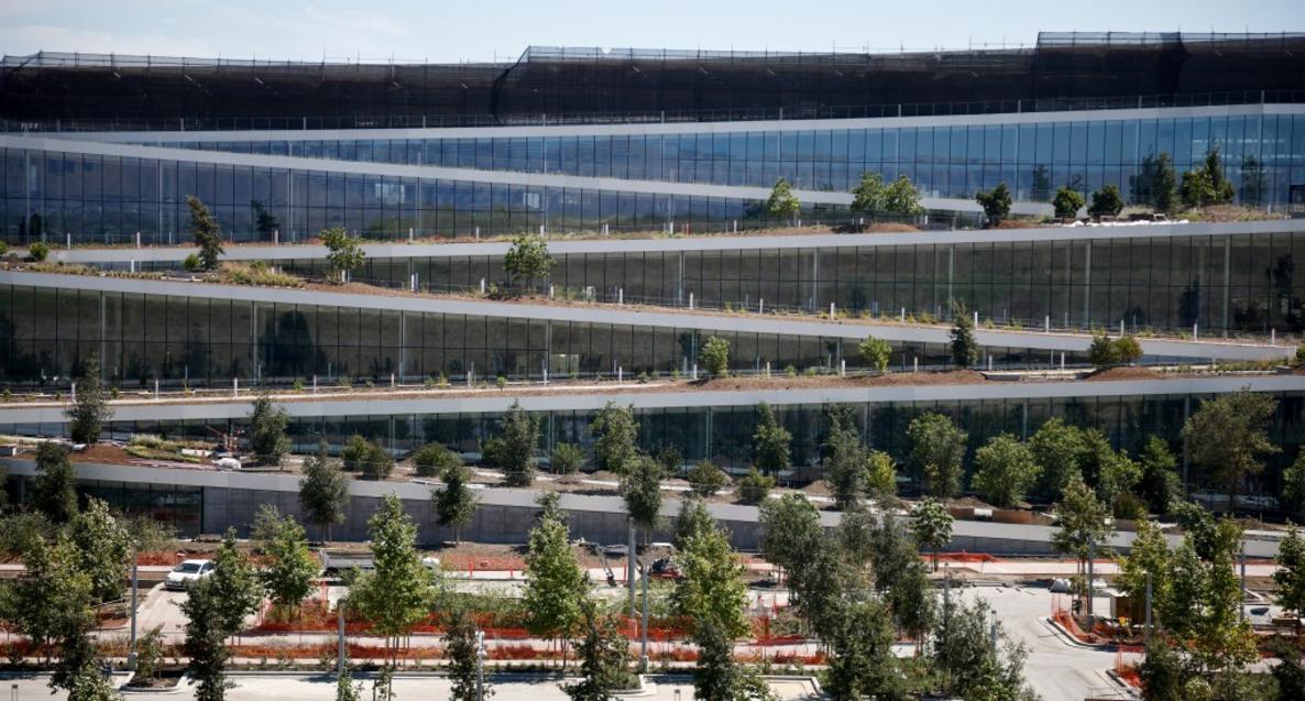 Cư dân Sunnyvale được nhận cây xanh miễn phí 1 SJM L GOOGSUNNY x 10