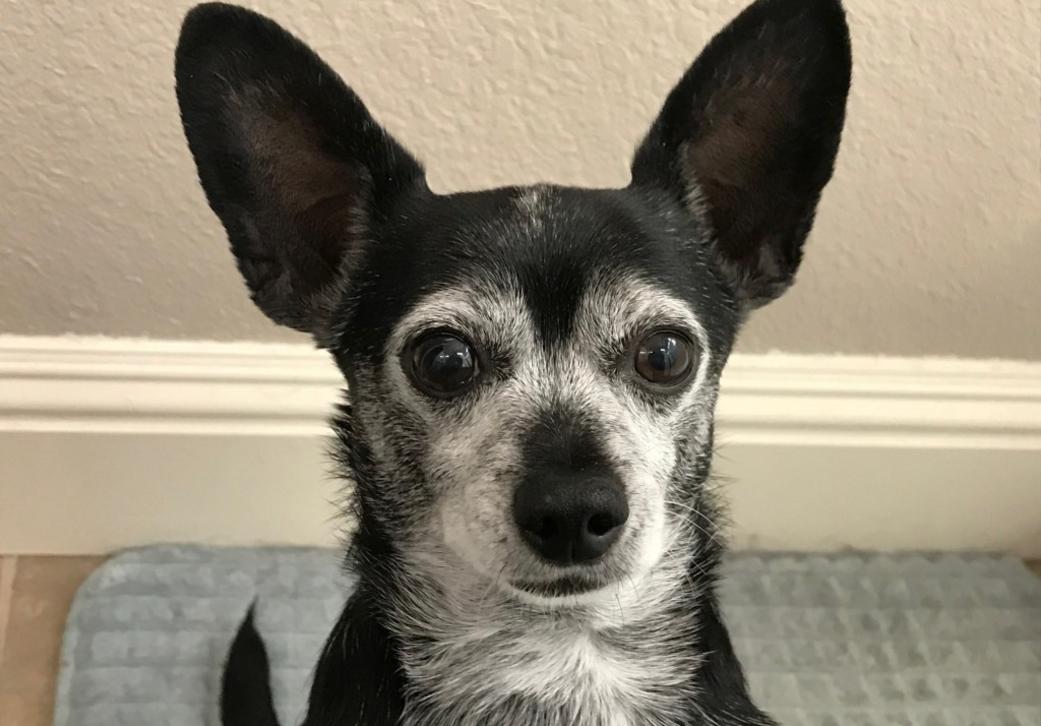 SJM L JOANCOL 1208 01