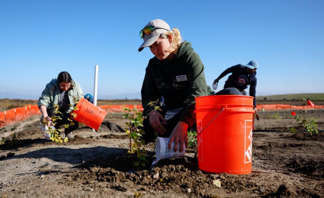 Cư dân Vùng Vịnh hưởng lợi từ 'đê sống' mới, sử dụng nước thải 1 SJM L PALEVEE 12XX 31