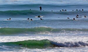 Thời tiết Vùng Vịnh: Không mưa cho đến Giáng Sinh – Liệu hạn hán có đáng lo? 16 Thời tiết Vùng Vịnh: Không mưa cho đến Giáng Sinh – Liệu hạn hán có đáng lo?