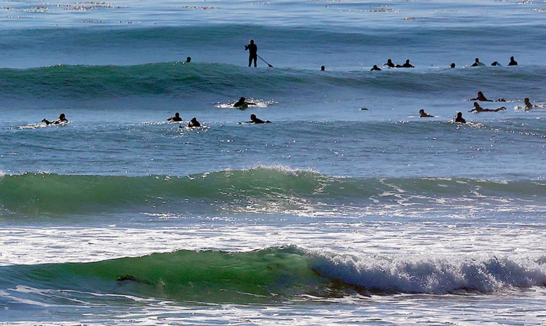 Thời tiết Vùng Vịnh: Không mưa cho đến Giáng Sinh – Liệu hạn hán có đáng lo? 1 SJM L POINTWAVES 1203 01 250762183