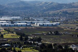 Chào Đón Giao Thừa Tại Thư Viện Cupertino