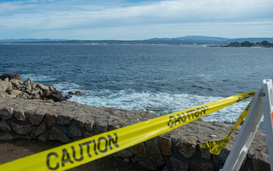 SJM L SHARK 1223 11 1a3729