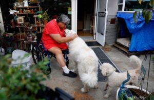 Tổ chức từ thiện hỗ trợ người cao niên ở Thung lũng Silicon 32 Tổ chức từ thiện hỗ trợ người cao niên ở Thung lũng Silicon