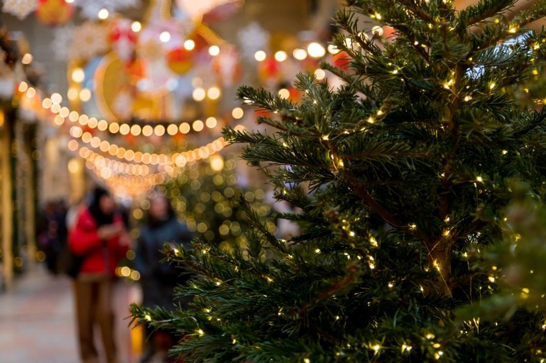 Gợi Ý 6 Sự Kiện Mùa Giáng Sinh Tại Vùng Vịnh 1 SJM L XMASEVENTS 1221 01