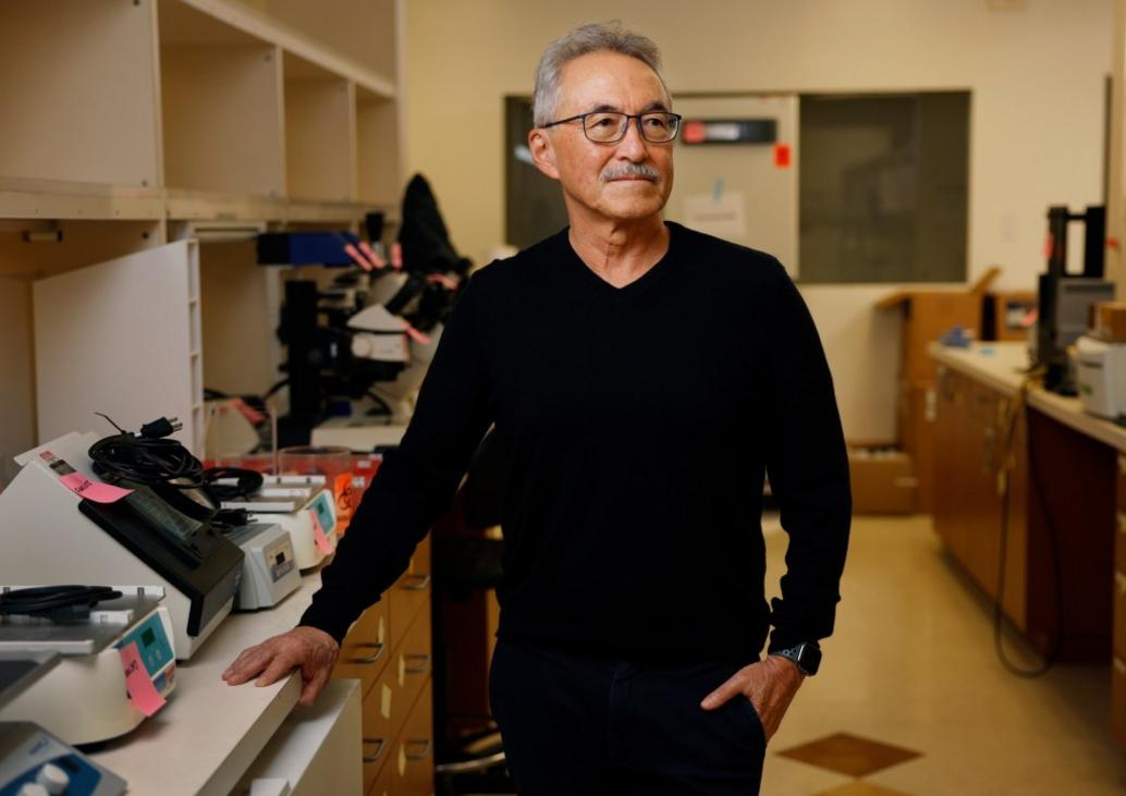 SUT L CIDARA CEO 003