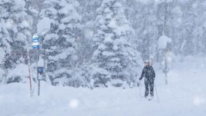 Bão Tuyết Lớn Đe Dọa Vùng Trung Tây và Đông Bắc Hoa Kỳ