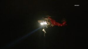 Cứu người, chó và mèo khỏi sông ở Sunland