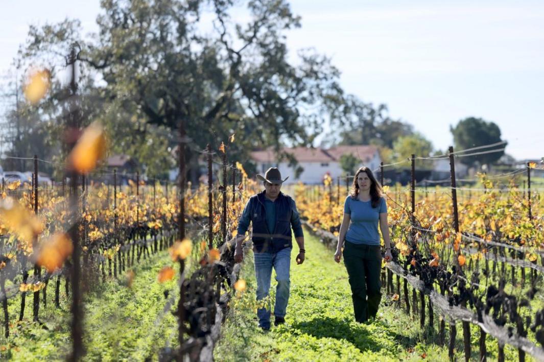 TPD L BS ROJAS 1110254 1