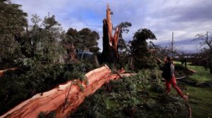 Mưa to, gió lớn quật ngã cây cối và đường sá ở Vùng Vịnh