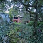 Những thương vụ nhà đất giá hời nhất tại Oakland (tuần 24/11)