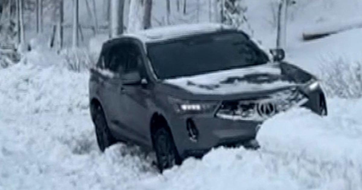 Winter Storm Thumb Vert tynhse