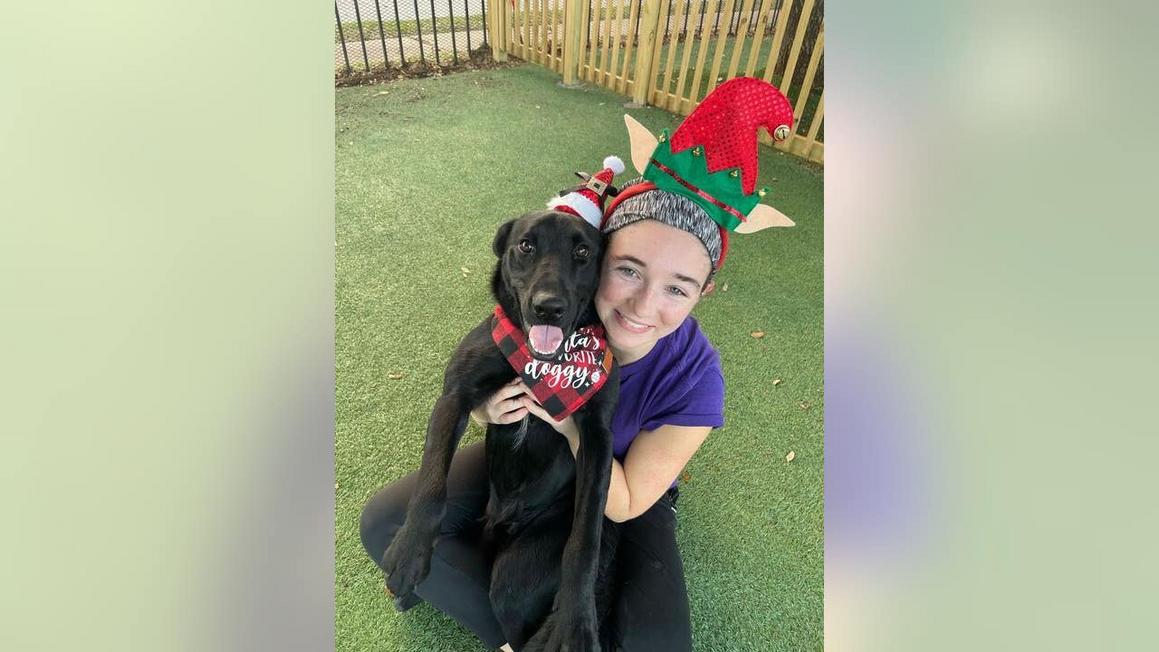 Người Phụ Nữ tại Pasadena Cứu Chó Khỏi Bị An Tử 1