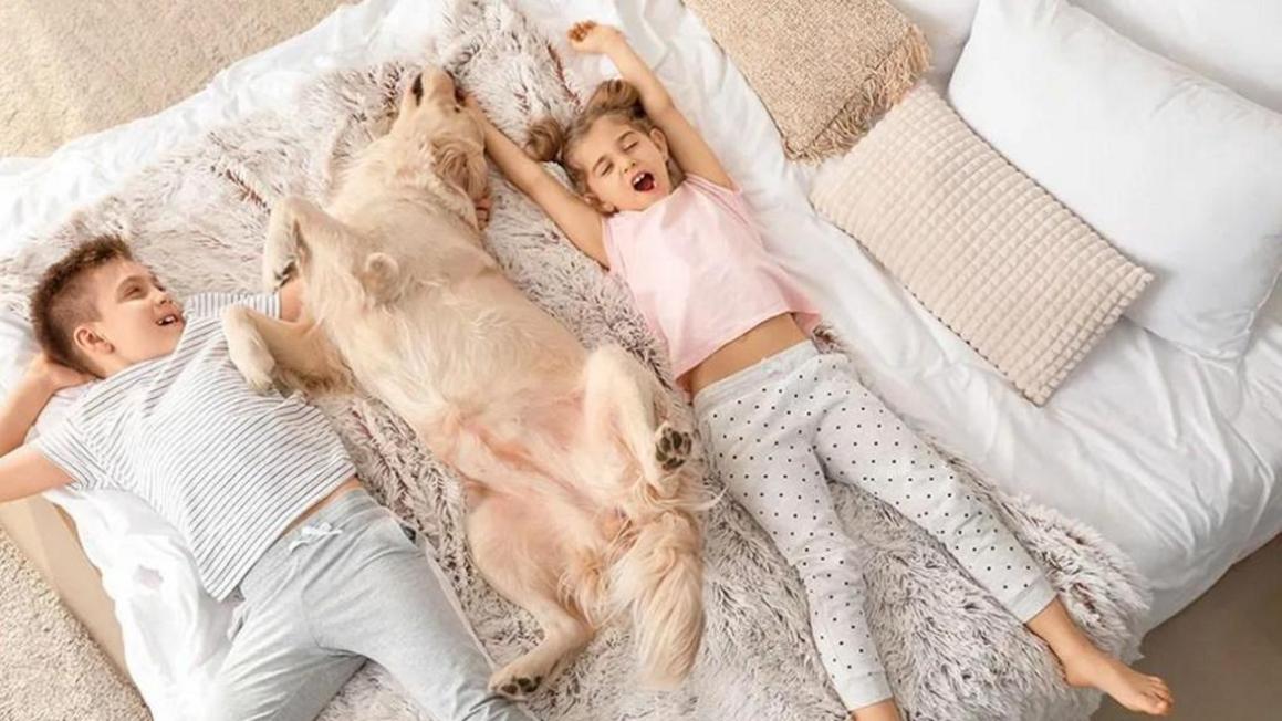 best mattress under 1000