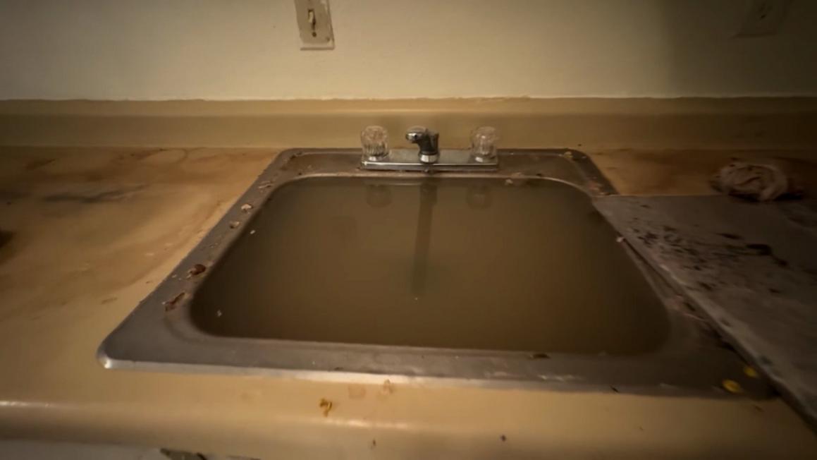 c01d534b e00e 41bb 961d