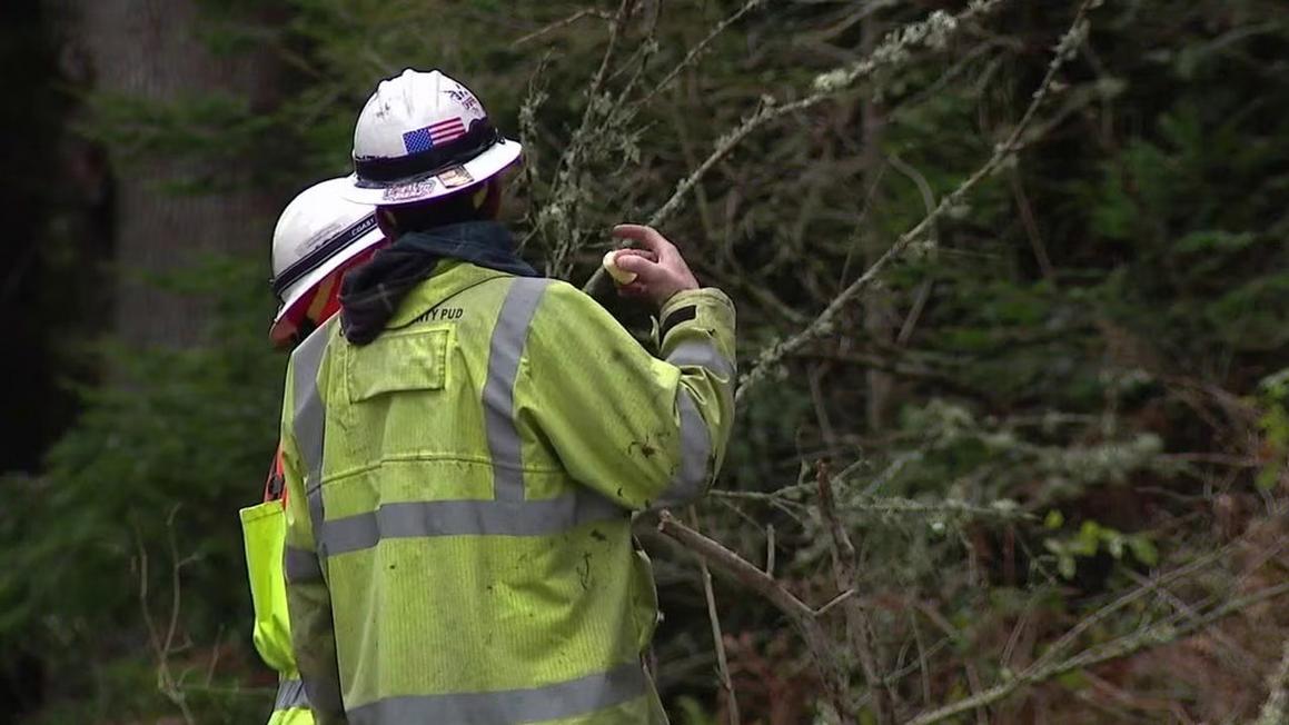 Đảo Camano Khốn Đốn Vì Mất Điện Kéo Dài Sau Bão Lớn 1 camano island power outage crew