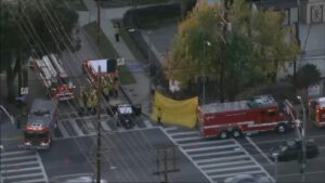 Thợ tỉa cây tử vong sau khi bị đâm vì ngã khi làm việc ở Canoga Park