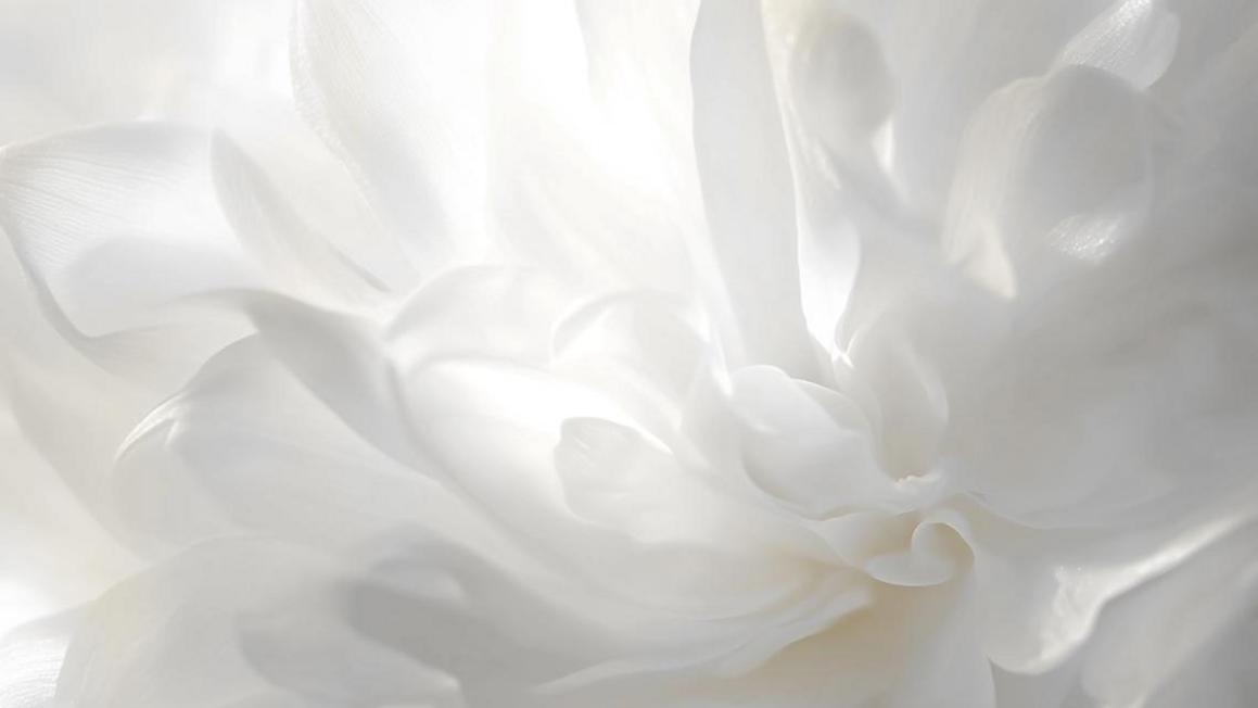 ce272349 d9f6 464e be32