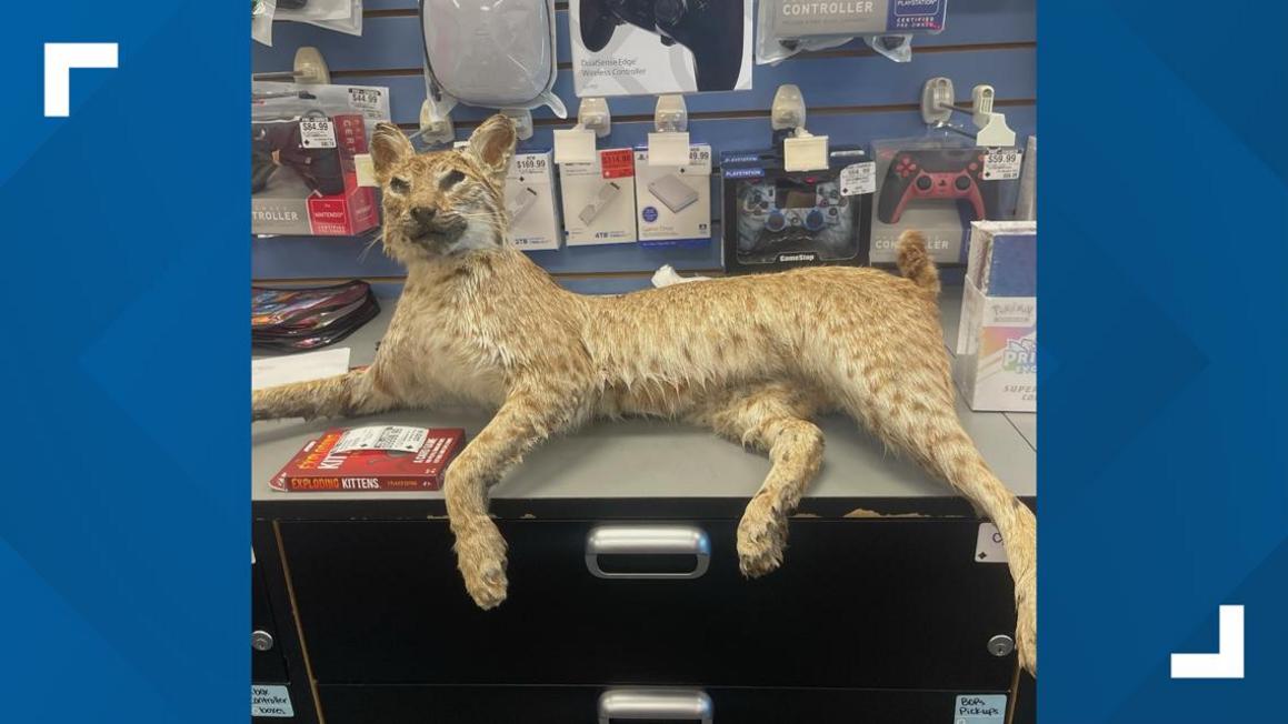 GameStop thu hút nhiều món đồ độc lạ trong ngày 'Đổi Đồ' 1 d0be7e36 9718 429b b8dc