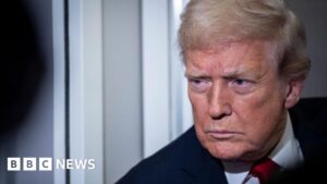 Tổng Thống Trump Ân Xá Cho Giám Đốc Điều Hành Bị Kết Tội Gian Lận