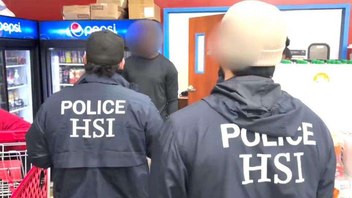 dhs minneapolis fraud arrests